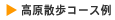 �����U���R�[�X��
