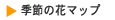 �G�߂̉ԃ}�b�v